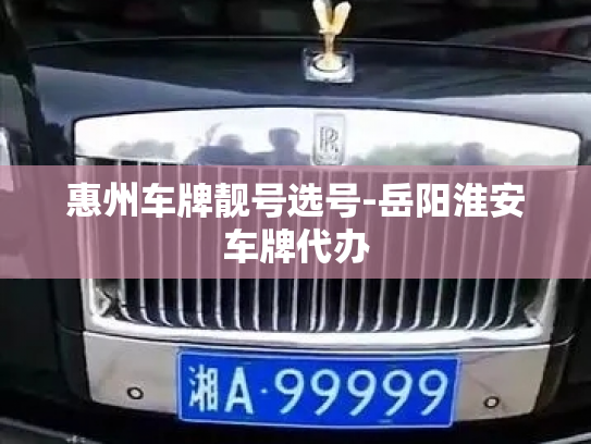 惠州车牌靓号选号-岳阳淮安车牌代办-第2张图片-七号汽车选号