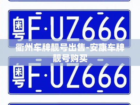 衢州车牌靓号出售-安康车牌靓号购买-第3张图片-七号汽车选号 衢州车牌靓号出售-安康车牌靓号购买-第3张图片-七号汽车选号