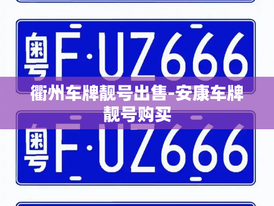 衢州车牌靓号出售-安康车牌靓号购买-第4张图片-七号汽车选号 衢州车牌靓号出售-安康车牌靓号购买-第4张图片-七号汽车选号