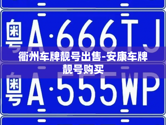 衢州车牌靓号出售-安康车牌靓号购买-第2张图片-七号汽车选号 衢州车牌靓号出售-安康车牌靓号购买-第2张图片-七号汽车选号