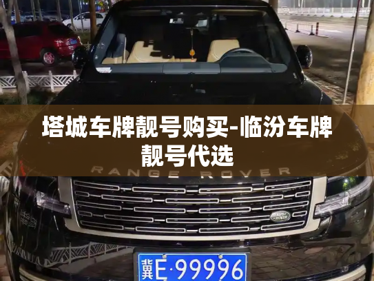 塔城车牌靓号购买-临汾车牌靓号代选-第3张图片-七号汽车选号 塔城车牌靓号购买-临汾车牌靓号代选-第3张图片-七号汽车选号