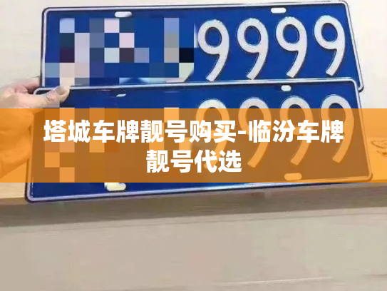 塔城车牌靓号购买-临汾车牌靓号代选-第4张图片-七号汽车选号 塔城车牌靓号购买-临汾车牌靓号代选-第4张图片-七号汽车选号