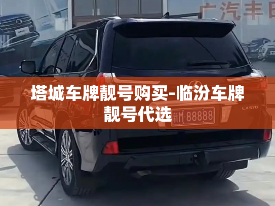 塔城车牌靓号购买-临汾车牌靓号代选-第2张图片-七号汽车选号 塔城车牌靓号购买-临汾车牌靓号代选-第2张图片-七号汽车选号