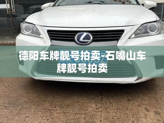 德阳车牌靓号拍卖-石嘴山车牌靓号拍卖-第3张图片-七号汽车选号