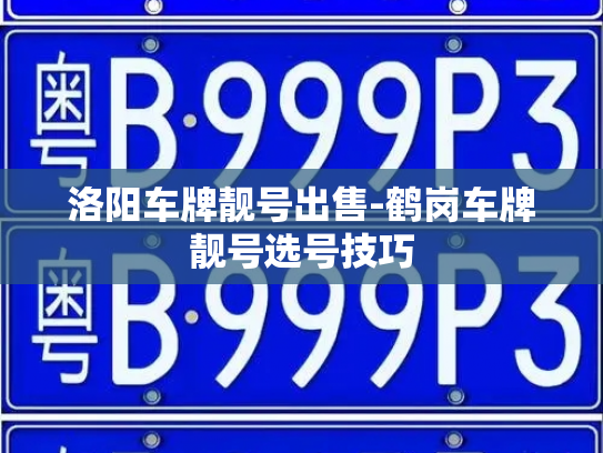 洛阳车牌靓号出售-鹤岗车牌靓号选号技巧-第3张图片-七号汽车选号