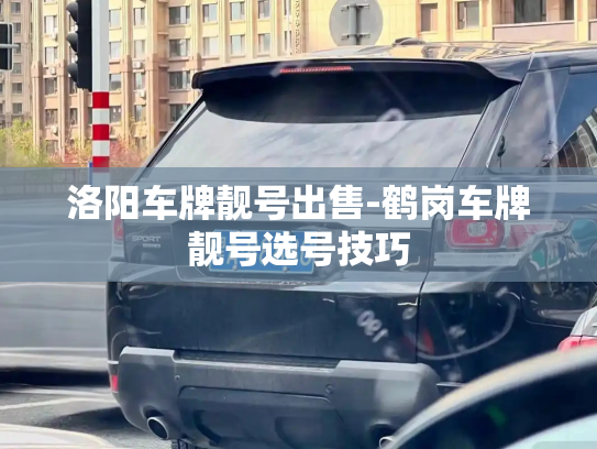 洛阳车牌靓号出售-鹤岗车牌靓号选号技巧-第4张图片-七号汽车选号