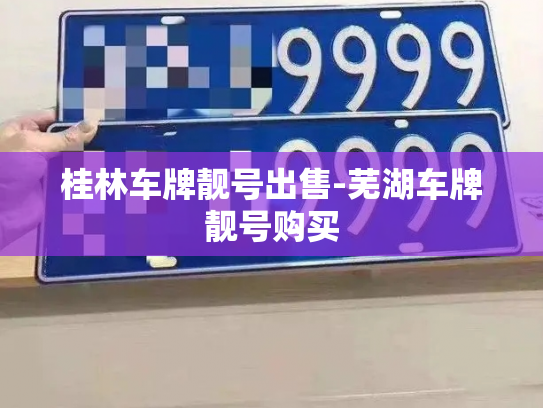 桂林车牌靓号出售-芜湖车牌靓号购买-第4张图片-七号汽车选号 桂林车牌靓号出售-芜湖车牌靓号购买-第4张图片-七号汽车选号