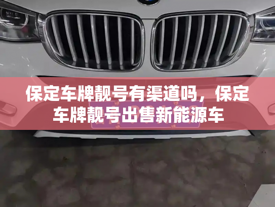 保定车牌靓号有渠道吗,保定车牌靓号出售新能源车-第2张图片-七号汽车选号 保定车牌靓号有渠道吗,保定车牌靓号出售新能源车-第2张图片-七号汽车选号
