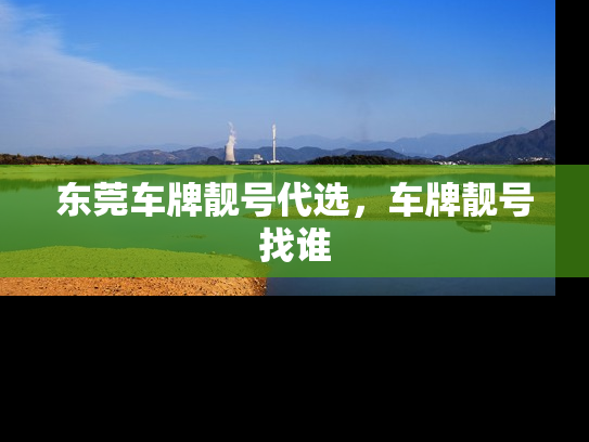 东莞车牌靓号代选，车牌靓号找谁