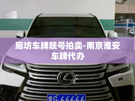 廊坊车牌靓号拍卖-南京淮安车牌代办-第3张图片-七号汽车选号 廊坊车牌靓号拍卖-南京淮安车牌代办-第3张图片-七号汽车选号