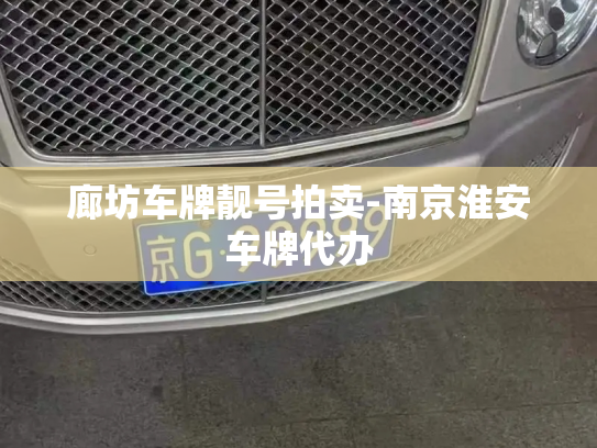 廊坊车牌靓号拍卖-南京淮安车牌代办-第2张图片-七号汽车选号 廊坊车牌靓号拍卖-南京淮安车牌代办-第2张图片-七号汽车选号