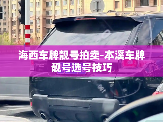 海西车牌靓号拍卖-本溪车牌靓号选号技巧-第3张图片-七号汽车选号 海西车牌靓号拍卖-本溪车牌靓号选号技巧-第3张图片-七号汽车选号