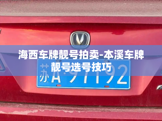 海西车牌靓号拍卖-本溪车牌靓号选号技巧-第4张图片-七号汽车选号 海西车牌靓号拍卖-本溪车牌靓号选号技巧-第4张图片-七号汽车选号
