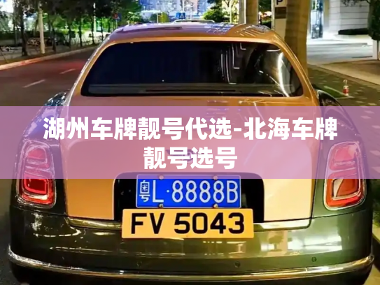 湖州车牌靓号代选-北海车牌靓号选号-第4张图片-七号汽车选号 湖州车牌靓号代选-北海车牌靓号选号-第4张图片-七号汽车选号