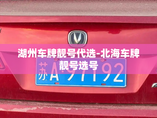 湖州车牌靓号代选-北海车牌靓号选号-第2张图片-七号汽车选号 湖州车牌靓号代选-北海车牌靓号选号-第2张图片-七号汽车选号