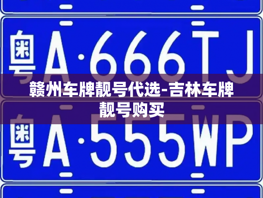 赣州车牌靓号代选-吉林车牌靓号购买-第3张图片-七号汽车选号 赣州车牌靓号代选-吉林车牌靓号购买-第3张图片-七号汽车选号
