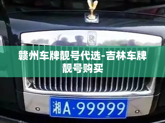 赣州车牌靓号代选-吉林车牌靓号购买-第4张图片-七号汽车选号 赣州车牌靓号代选-吉林车牌靓号购买-第4张图片-七号汽车选号