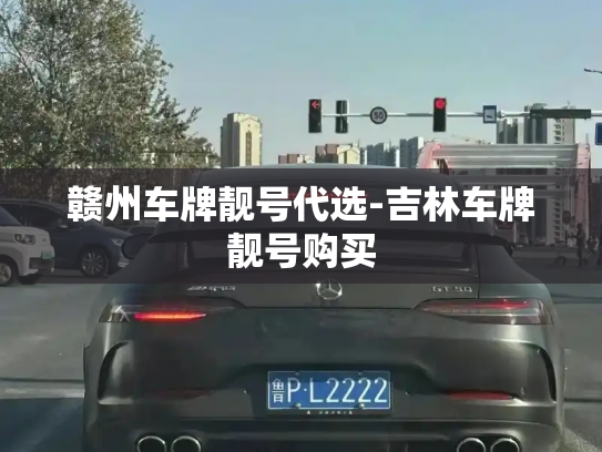 赣州车牌靓号代选-吉林车牌靓号购买-第2张图片-七号汽车选号 赣州车牌靓号代选-吉林车牌靓号购买-第2张图片-七号汽车选号