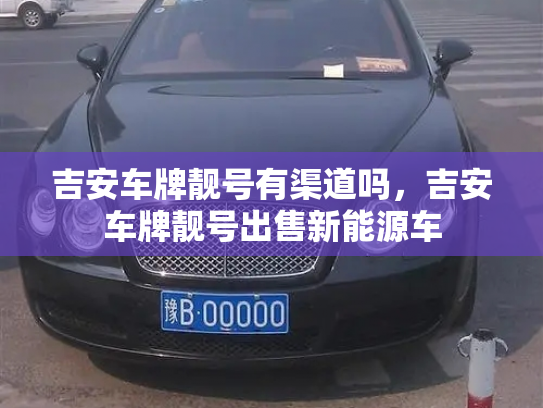 吉安车牌靓号有渠道吗，吉安车牌靓号出售新能源车-第2张图片-七号汽车选号