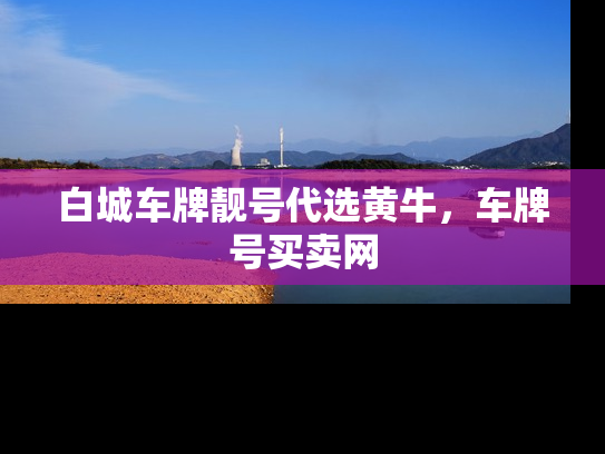 白城车牌靓号代选黄牛，车牌号买卖网