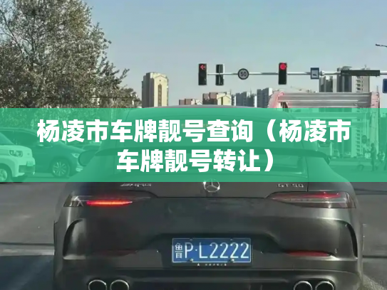 杨凌市车牌靓号查询（杨凌市车牌靓号转让）