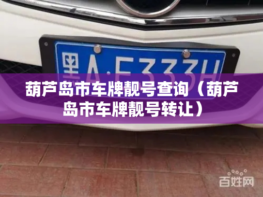 葫芦岛市车牌靓号查询（葫芦岛市车牌靓号转让）-第2张图片-七号汽车选号