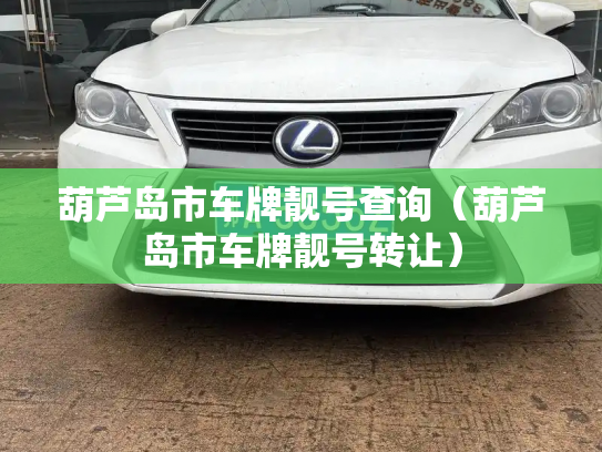 葫芦岛市车牌靓号查询（葫芦岛市车牌靓号转让）-第3张图片-七号汽车选号