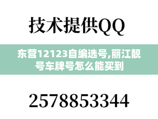 东营12123自编选号,丽江靓号车牌号怎么能买到-第1张图片-七号汽车选号