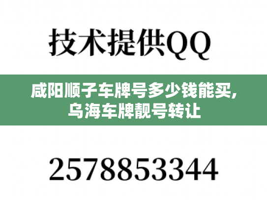 咸阳顺子车牌号多少钱能买,乌海车牌靓号转让