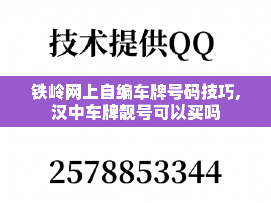 铁岭网上自编车牌号码技巧,汉中车牌靓号可以买吗