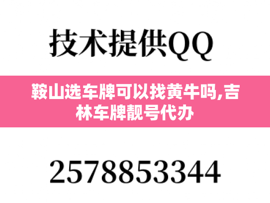 鞍山选车牌可以找黄牛吗,吉林车牌靓号代办
