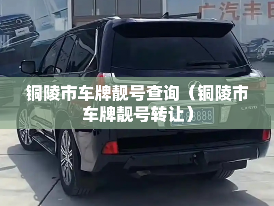 铜陵市车牌靓号查询（铜陵市车牌靓号转让）-第2张图片-七号汽车选号