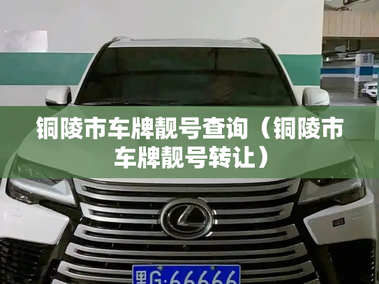 铜陵市车牌靓号查询（铜陵市车牌靓号转让）-第3张图片-七号汽车选号