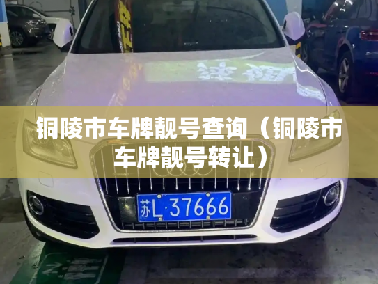 铜陵市车牌靓号查询（铜陵市车牌靓号转让）