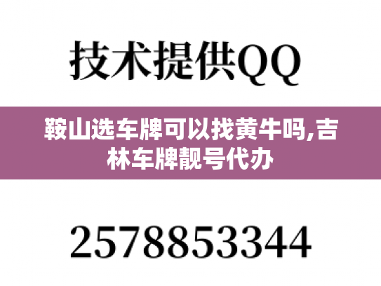 鞍山选车牌可以找黄牛吗,吉林车牌靓号代办