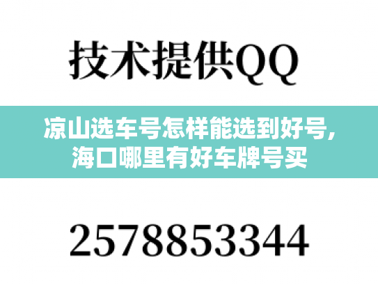 凉山选车号怎样能选到好号,海口哪里有好车牌号买