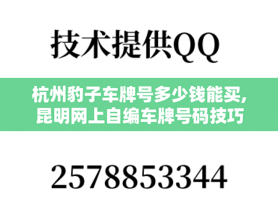 杭州豹子车牌号多少钱能买,昆明网上自编车牌号码技巧