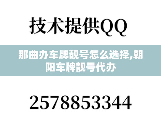 那曲办车牌靓号怎么选择,朝阳车牌靓号代办