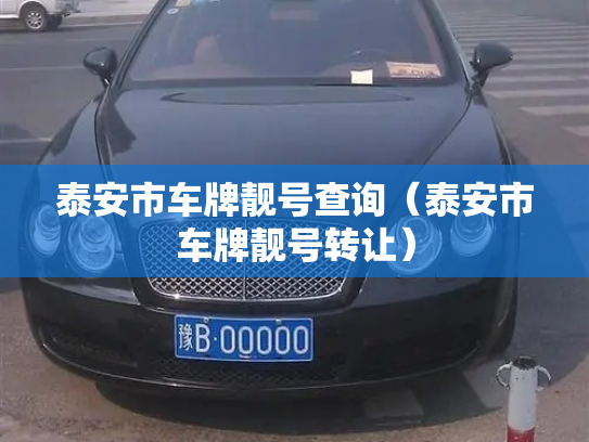 泰安市车牌靓号查询（泰安市车牌靓号转让）-第2张图片-七号汽车选号