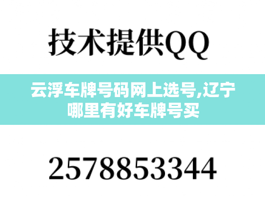 云浮车牌号码网上选号,辽宁哪里有好车牌号买
