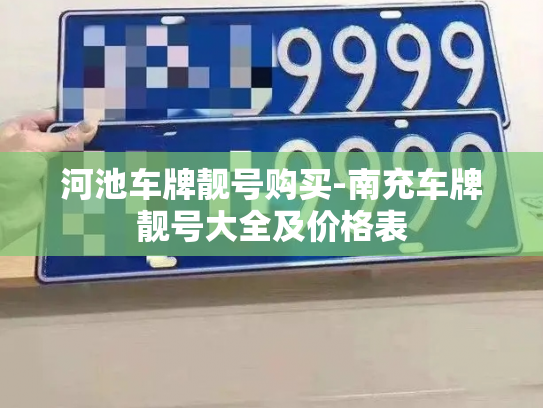河池车牌靓号购买-南充车牌靓号大全及价格表-第3张图片-七号汽车选号 河池车牌靓号购买-南充车牌靓号大全及价格表-第3张图片-七号汽车选号