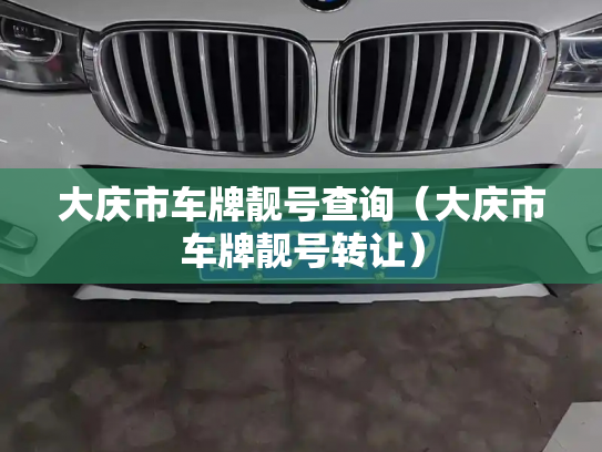 大庆市车牌靓号查询（大庆市车牌靓号转让）-第2张图片-七号汽车选号