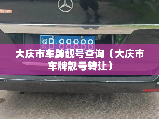 大庆市车牌靓号查询（大庆市车牌靓号转让）-第3张图片-七号汽车选号