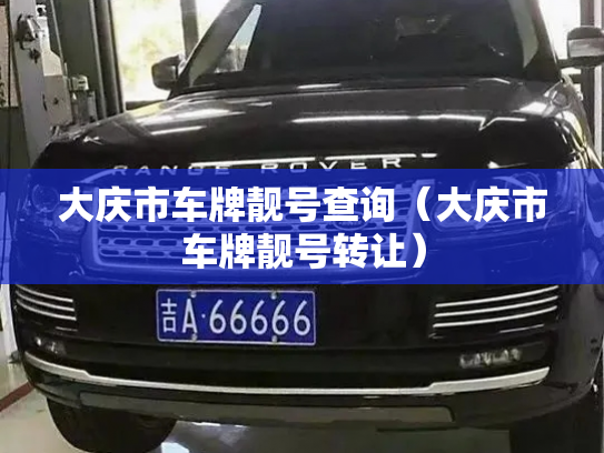 大庆市车牌靓号查询（大庆市车牌靓号转让）