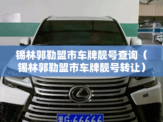 锡林郭勒盟市车牌靓号查询（锡林郭勒盟市车牌靓号转让）-第2张图片-七号汽车选号