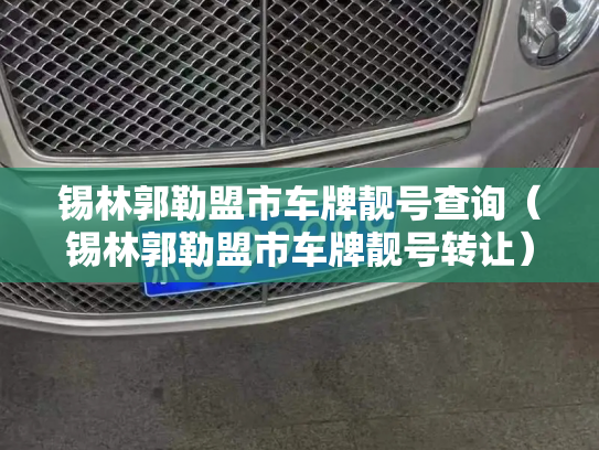 锡林郭勒盟市车牌靓号查询（锡林郭勒盟市车牌靓号转让）-第3张图片-七号汽车选号