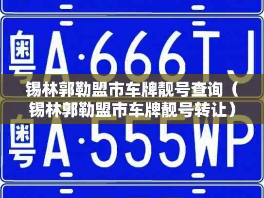 锡林郭勒盟市车牌靓号查询（锡林郭勒盟市车牌靓号转让）