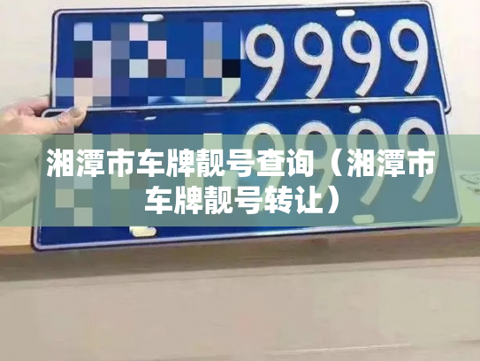 湘潭市车牌靓号查询(湘潭市车牌靓号转让)-第3张图片-七号汽车选号 湘潭市车牌靓号查询(湘潭市车牌靓号转让)-第3张图片-七号汽车选号