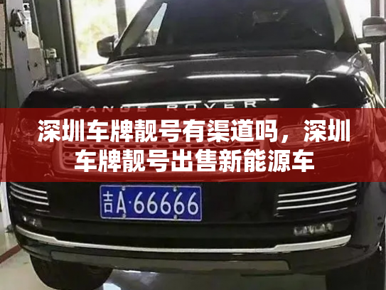 深圳车牌靓号有渠道吗,深圳车牌靓号出售新能源车-第2张图片-七号汽车选号 深圳车牌靓号有渠道吗,深圳车牌靓号出售新能源车-第2张图片-七号汽车选号