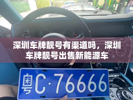 深圳车牌靓号有渠道吗,深圳车牌靓号出售新能源车-第3张图片-七号汽车选号 深圳车牌靓号有渠道吗,深圳车牌靓号出售新能源车-第3张图片-七号汽车选号